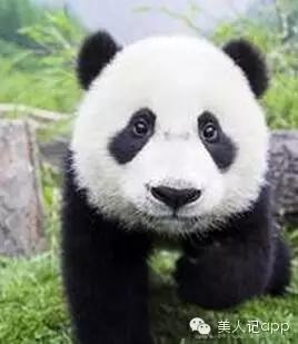 怎么区分眼袋黑眼圈泪沟卧蚕,卧蚕眼袋泪沟黑眼圈