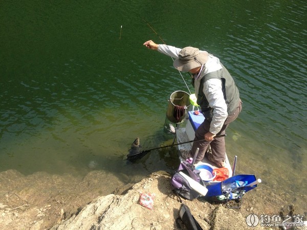 探钓野生鱼视频,探钓野生水库