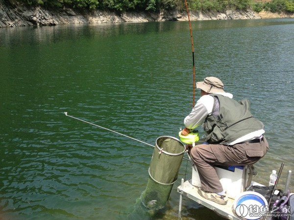 探钓野生鱼视频,探钓野生水库
