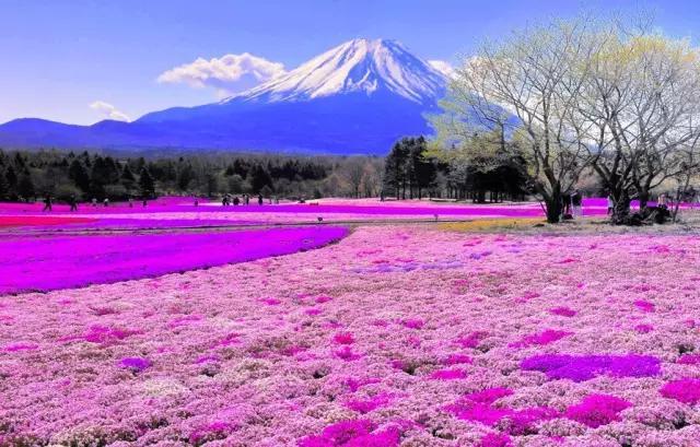 父母供自己读书花光了所有积蓄,父母花光积蓄送女儿留学