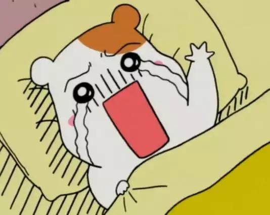 语文不好该怎样,只有语文不好是什么体验