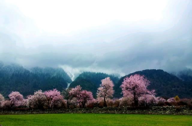 西藏林芝行一路风景如画,林芝最美小镇