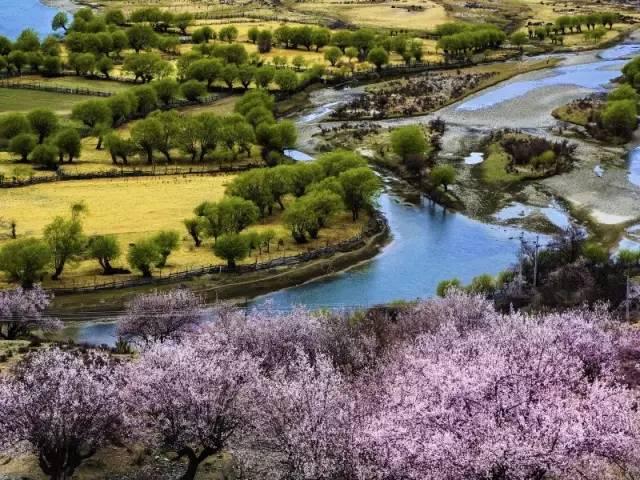 西藏林芝行一路风景如画,林芝最美小镇