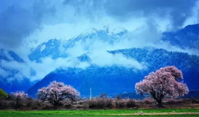 西藏林芝行一路风景如画,林芝最美小镇