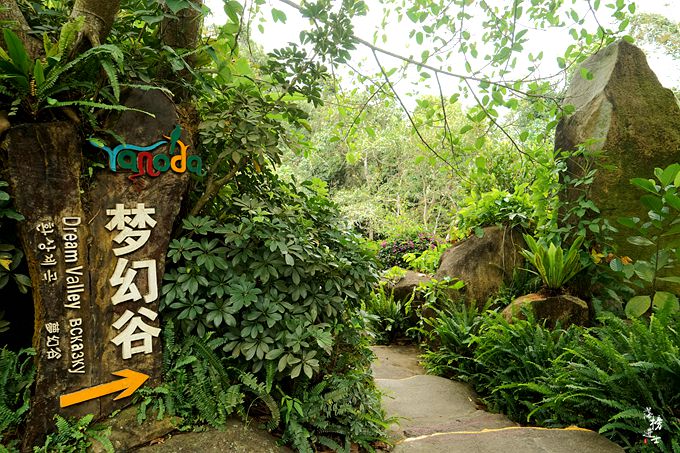 呀诺达，拾起我童年记忆的热带雨林