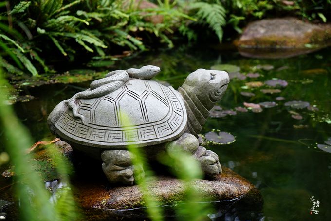 呀诺达，拾起我童年记忆的热带雨林