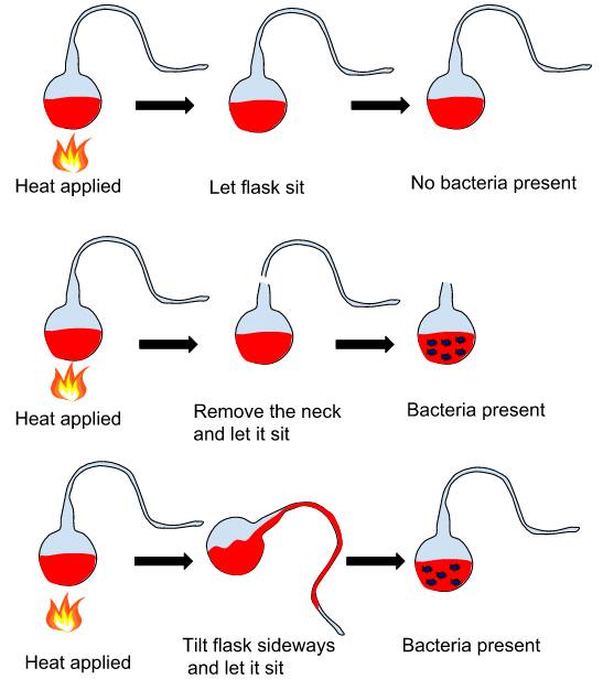 穿越到古代治疗破伤风后续,世界上疫苗谁研究出来的