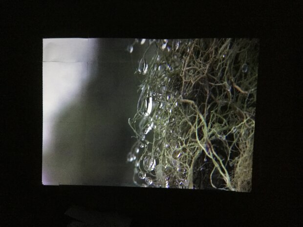 联想扭转式微型投影机p0510,微型迷你投影仪便携机联想t200