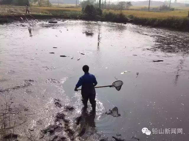 铅山县美食排行榜前十名,铅山美食公众号