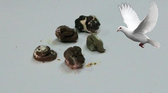 来自身边的“翔”，得知后你都可以做《女医》了！