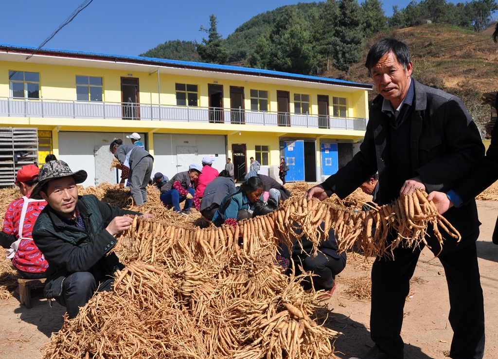 谭德才同志,永善县茂林镇谭德才