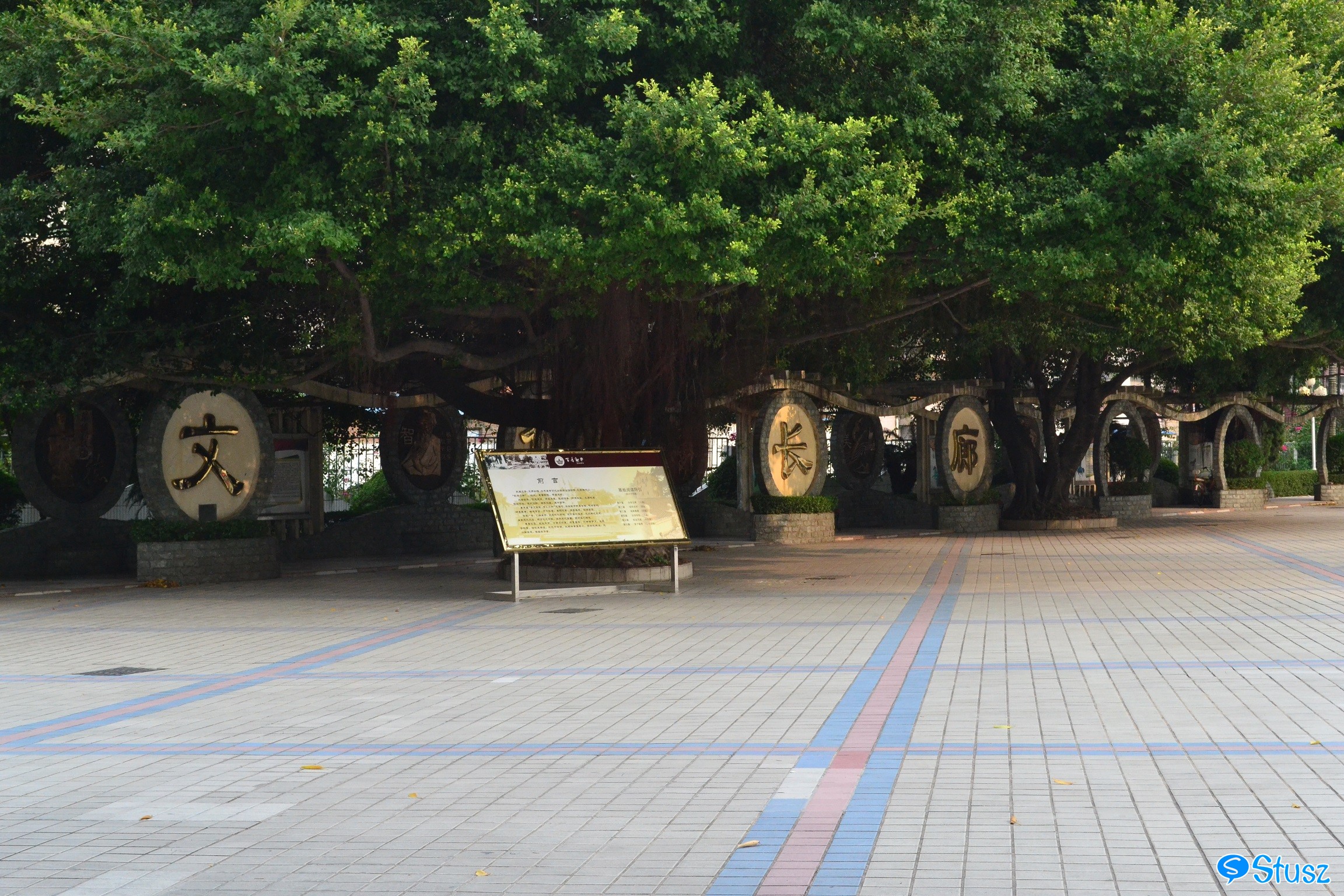 Stusz独家:观澜中学,现代化的百年老校