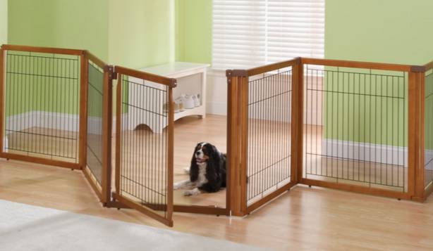 狗哥怎么养,狗哥养犬问答