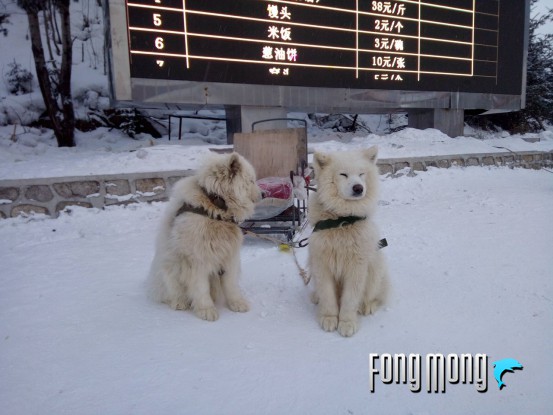 蓝魔mos1max,蓝魔mos1尺寸