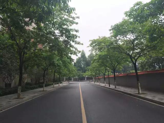 东坑远远不止*身卖**节，“地头蛇”带你一天玩尽东坑！