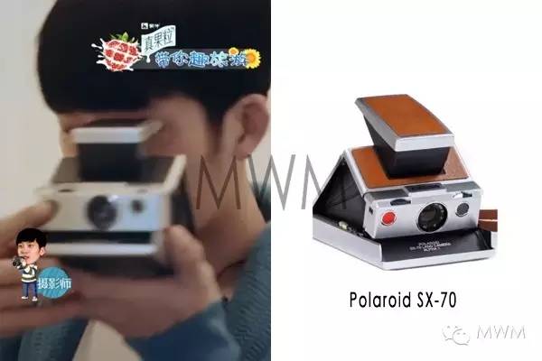 倪妮羡慕别人的爱情,倪妮和井柏然谈多久