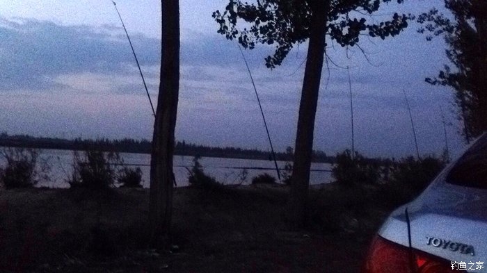 宁夏人钓鱼,黄河钓鱼的人多吗