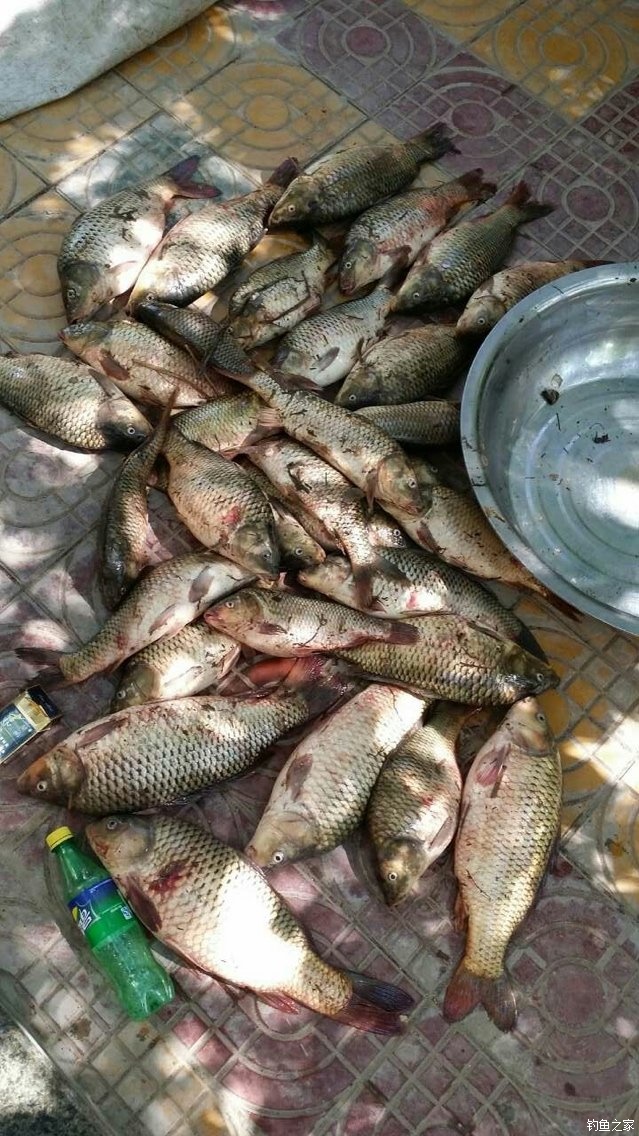 宁夏人钓鱼,黄河钓鱼的人多吗