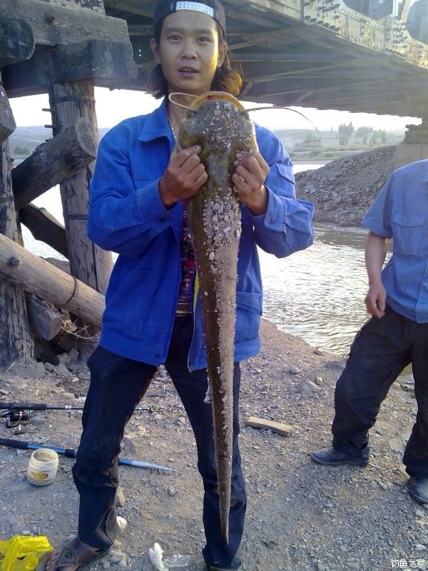 宁夏人钓鱼,黄河钓鱼的人多吗