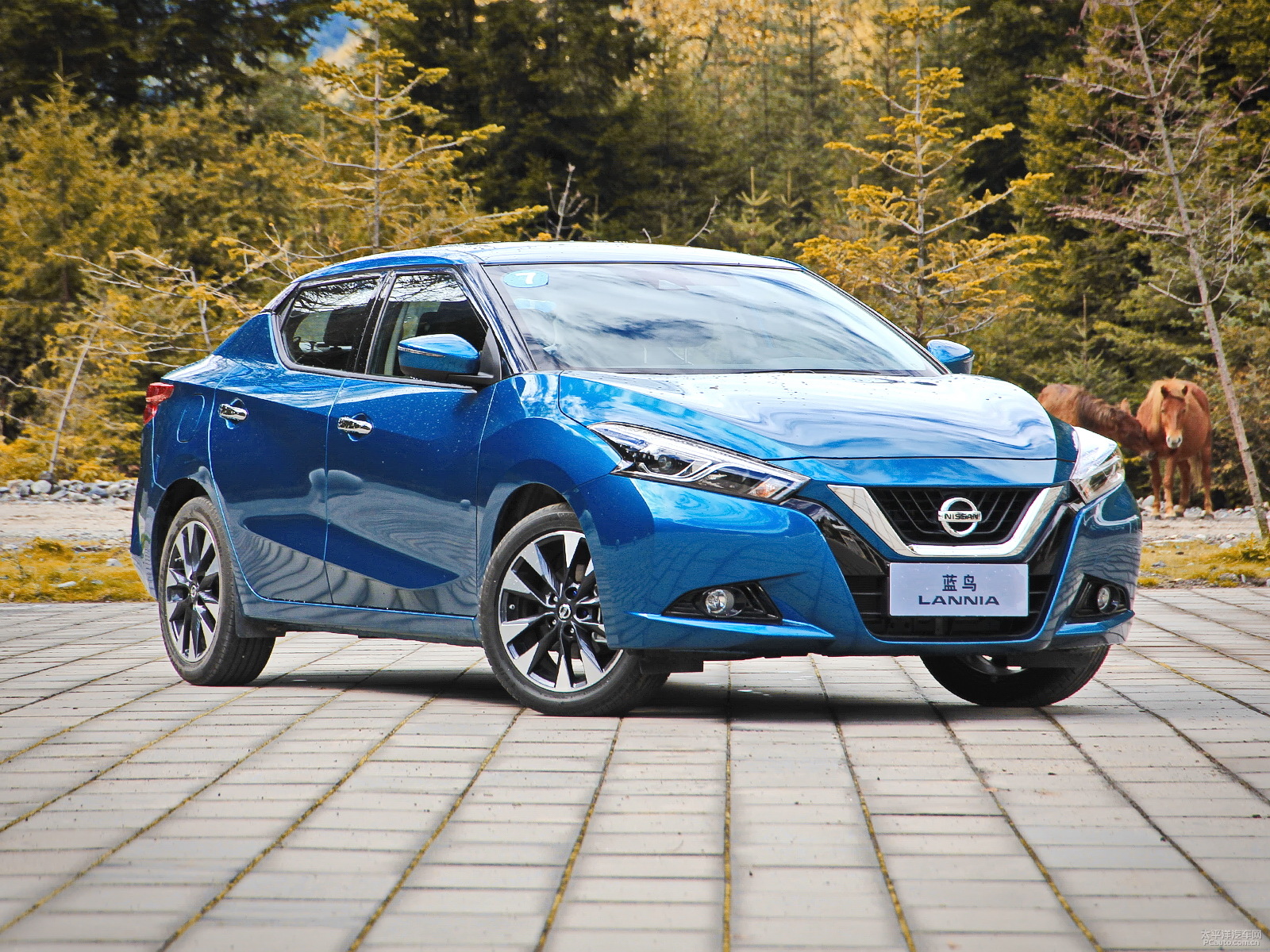 16年蓝鸟外观,蓝鸟最经典的是哪一款