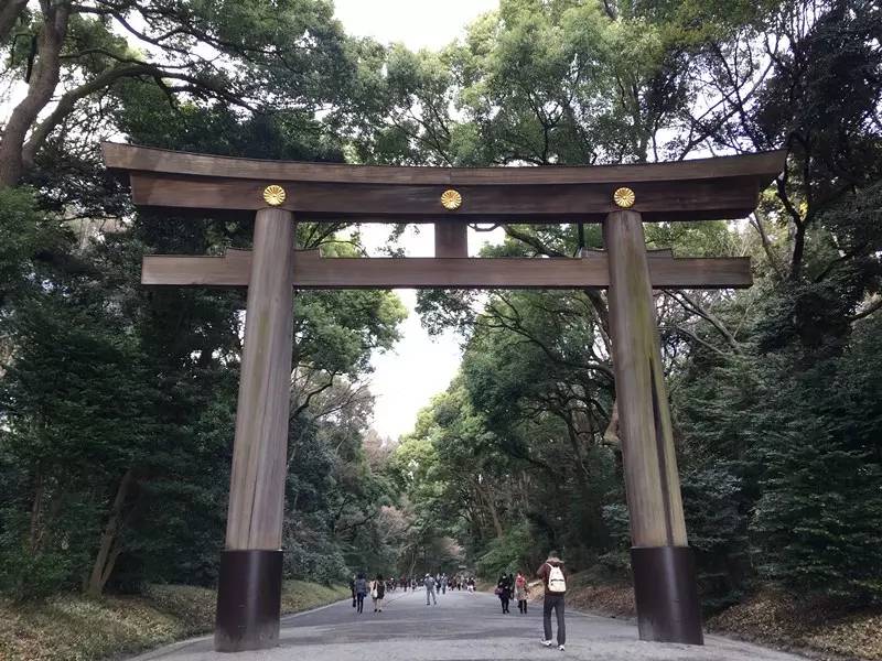 东京爱情故事日语,东京爱情故事有多少集