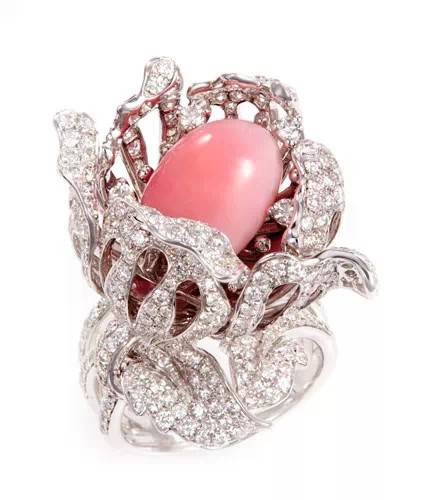 自信的女人喜欢什么花,自信女人最爱美