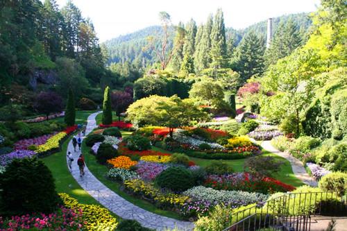 坐香港叮叮车攻略,去香港坐一次叮叮车吧