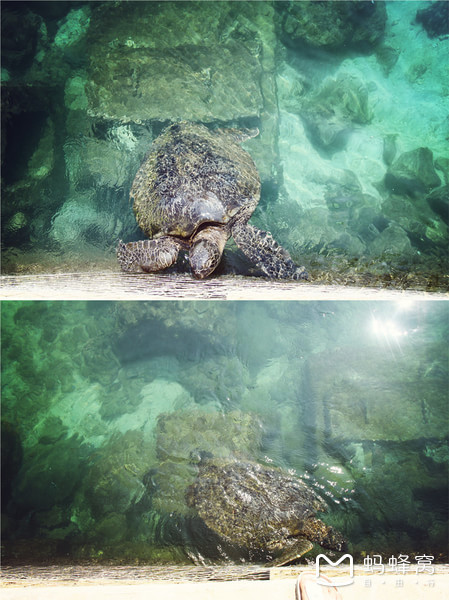 一起去三亚旅游就是最好的陪伴,三亚攻略自由行情侣