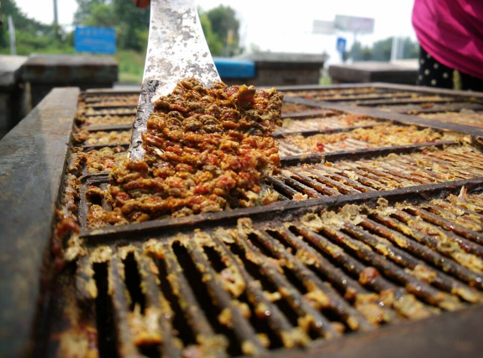 蜜蜂对人类的贡献有哪些,蜜蜂可以带来什么