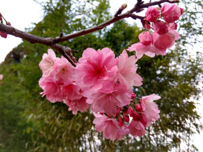 红米note3的拍照方法,红米note3不亮