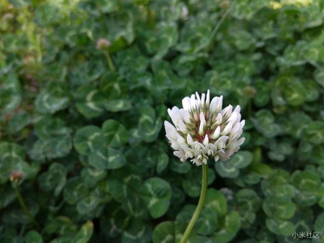 红米note3的拍照方法,红米note3不亮