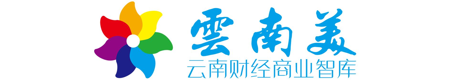 云南能投集团有机硅,云南能投上市公司老总