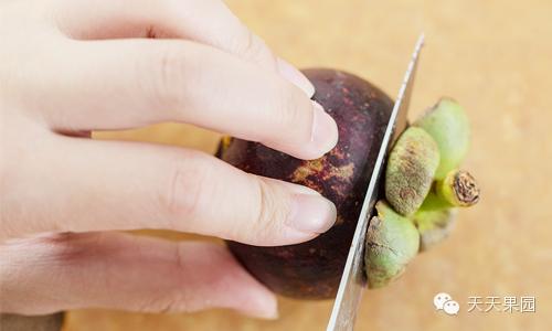 山竹都有哪些问题,山竹的秘密你知道多少