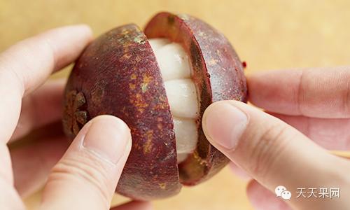 山竹都有哪些问题,山竹的秘密你知道多少