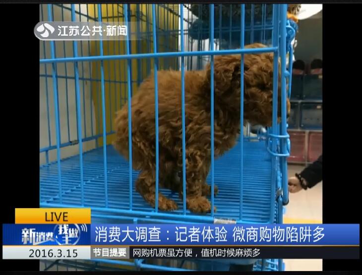 朋友圈微商购物处处是陷阱,微商购物骗局视频