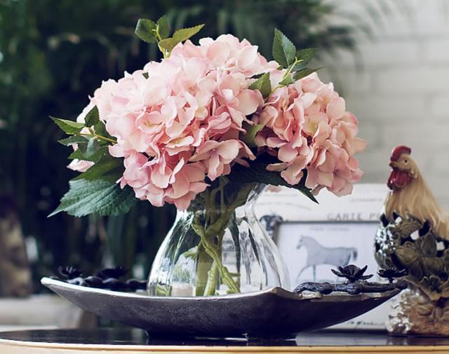 好物春天来了,好物分享春天来了