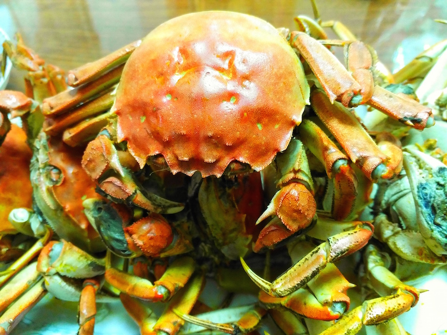 锤子t2还原系统,锤子t2带得起王者吗