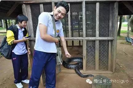 泰国变性人自述为爱变变变全历程!