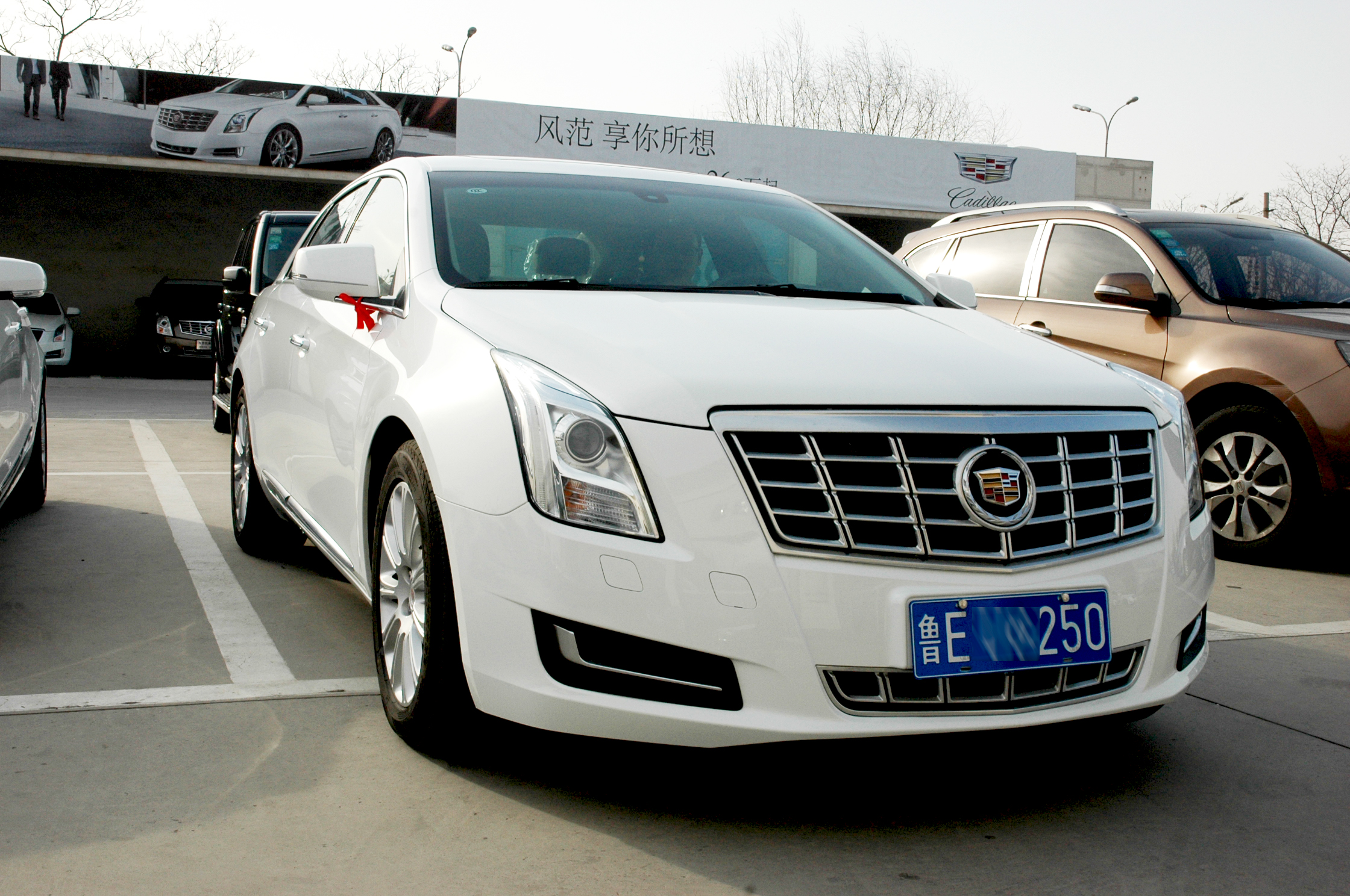 凯迪拉克srx越野自驾,凯迪拉克srx小越野