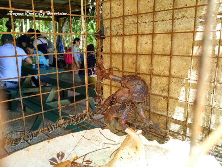 去塞班岛看海，带着小米NotePro和小蚁运动相机就足够了