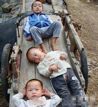 80鍚庡啘鏉戦暱澶х殑瀛╁瓙,80鍚庤兘娲诲埌浠婂ぉ鍏ㄩ潬鍊斿己