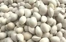 民间治支气管哮喘的小偏方,蛤蚧治疗哮喘有效小偏方