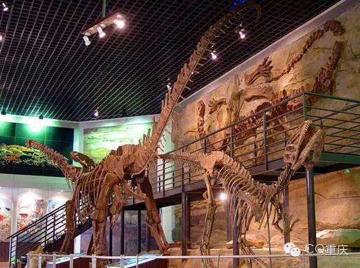 周末重庆去哪玩情侣,重庆亲子周末游玩攻略推荐