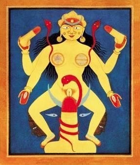 印度有中国的神吗,印度什么油最好