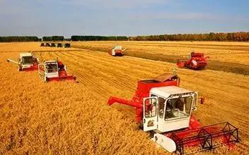 2023商机小生意,2021年投资新商机创业不容错过