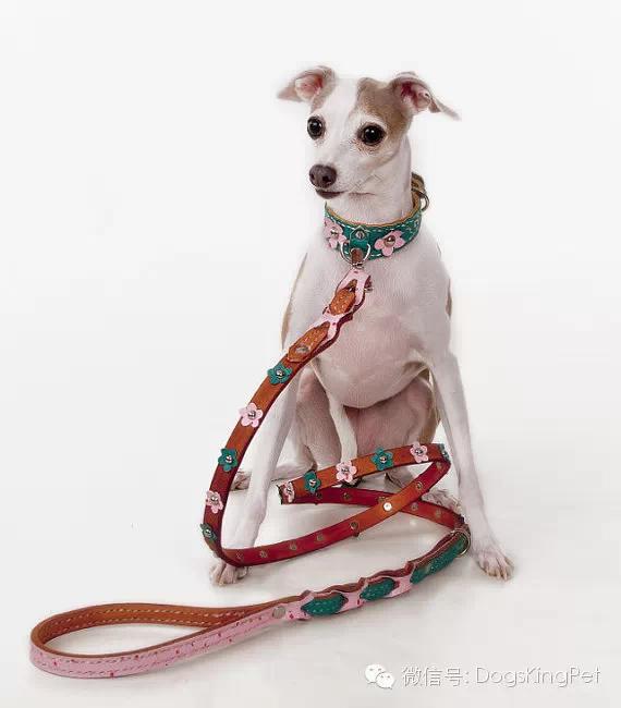 狗狗牵引带大型犬,狗狗牵引带真皮