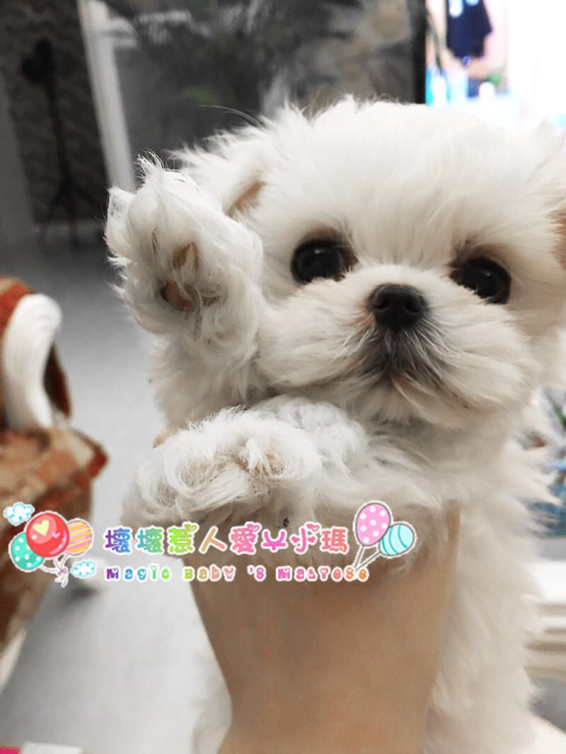 小米粒去汗毛,6-12岁儿童鼻头小米粒怎么消除