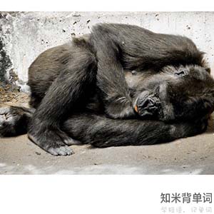 世界睡眠日您睡得还好吗,世界睡眠日揭秘聪明的人都睡得少