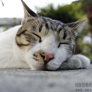 世界睡眠日您睡得还好吗,世界睡眠日揭秘聪明的人都睡得少