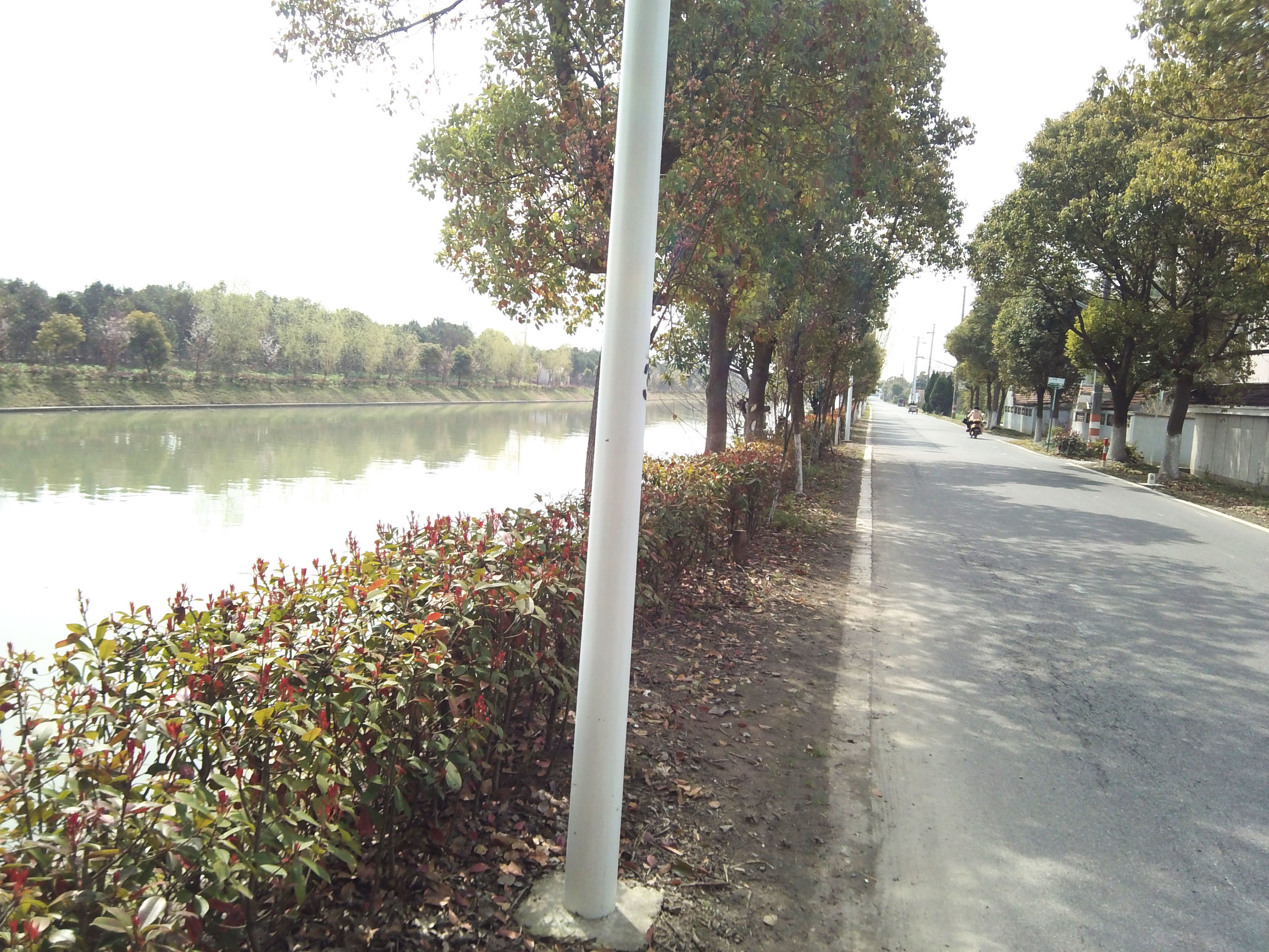 *拍偷**大湿OR生活记录大师,Foream便利贴相机